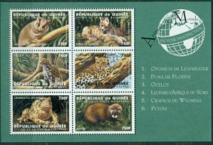 Гвинея, 1998, Фауна, Леопард, лист